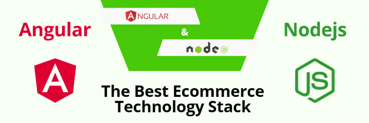 Angular and NodeJS: The Best Ecommerce Technology Stack