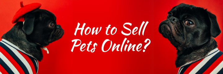 How to Sell Pets Online? 7-Step Process to Start Your Online Pet Shop