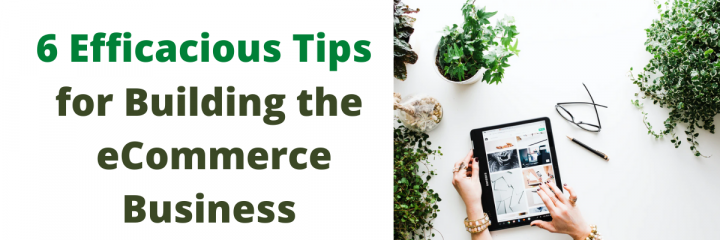 Six Efficacious Tips for Building the eCommerce Business